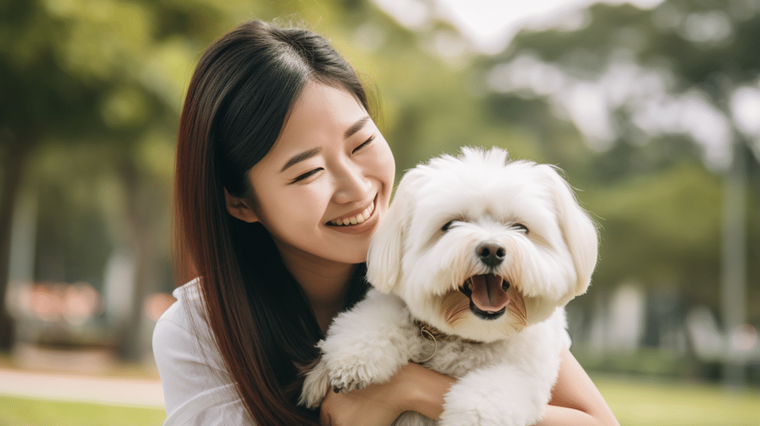 La guía definitiva para el cuidado de mascotas para dueños de mascotas por primera vez