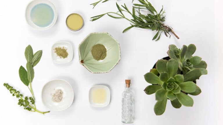 Top Vegan Beauty Products: A Guide for Beginners